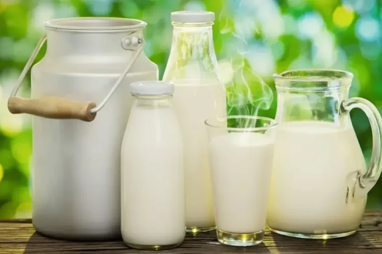 Leite de Vaca, Cabra ou Búfala Qual o Melhor Para Você